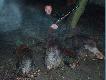 Dnia 02.12.09r .�w.Hubert by� dla mnie �askawy.Pierwszy w �yciu tryplet.Darz B�r.