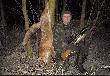 Ksi�yc w pe�ni, wi�c wypada�o wyjecha� na polowanko.Czarnuch�w nie by�o.Zawabi�em zaj�cem i nic,po 30 minutach powt�rzy�em i rudzielec(15) idealnie namierzy� miejsce kniazienia , przyszed� na 10m ... i zapozowa� do zdj�cia.