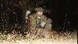 Spacerowa�em po lesie ,dziki te� spacerowa�y  o  21.22 si� spotkali�my  :-)