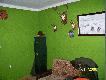 Po przeprowadzce pierwszy pok�j(oczywi�cie mysliwski) doczeka� sie wyposa�enia. Skromnie ale jest... 