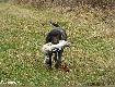 A mia�a by� na �wi�ta...:))

ARSA Keiviento- 9 m-cy