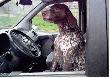 Wy�szy stopie� wtajemniczenia :-)
