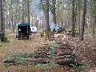  Polowanie z Francuzami . Pierwszy dzie� polowania dewizowego . Pokot ju� u�o�ony ,ale jeszcze brakuje byka . W ostatnim p�dzeniu pada byk . (druga dewiz�wka ).