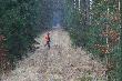 Naganka naprz�d
