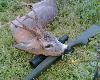 Maj 2009r.
Ostatni k�s, z jaskr�w, poda� sobie sam.....