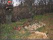 To efekt polowania na kt�rym zosta�em kr�lem strzelaj�c lisa (6 w sezonie) i zaj�ca (7 w sezonie)