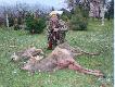12.12.2009r., go�cinnie u Koleg�w z s�siedniego Ko�a, �a�ka i ko�le.