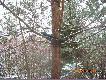 Id�c na stanowisko , kolega podowiedzia� " �ci�gnij lunet�" 
a w kieszeniach  ma�o miejsca  ;)