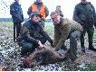 Dzi� 13, wylosowa�em kartk� nr.13 pierwsze stanowisko 13 no i wystrzeli�y dziki na pole!!! Dwa po�o�y�em a trzeciego dostrzeli�em!!! �w. Hubert dzi� mi udowodni� �e pech napewno nie ma nic wsp�lnego z liczb� 13!!!
