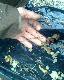 wewn�trz by�o 7 wnyk�w a na zewn�trz 12