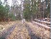 KOLA w kr�tkich odwiedzinach na flance.