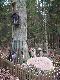G�az ku pami�ci Ma�ka-towarzysza �ow�w,ufundowany przez koleg�w z K� M�ody Le�nik.