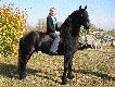 Tietse 428