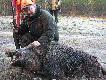 A oto kr�l polowania przy pi�knym ody�cu.