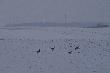 
...rozgrzewka... -12  C