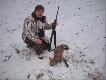 W sobot� lisy by�y bardzo aktywne, tego uda�o si� strzeli� bez wabienia. Dystans 170 krok�w. Niestety lisek by� parchaty.  