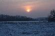 -15! POLOWANIE WIGILIJNE NA ZAJ�CE.