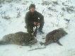 Przemko kr�l