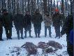 Polowanie zbiorowe z dnia 19.12.09.Strzelb przyby�o ledwie 10 zatok dzika nie brakowa�o .Pi�kna sceneria.