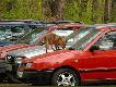Stara fotka wyci�gni�ta z archiwum :-)))