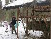 Tradycyjnie w dzie� Wigilii odwiedzamy pa�niki. Iru� soli :-)