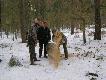 Po zako�czeniu polowania - wsp�lne rozsypanie karmy dla zwierza .