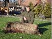 poranny dziczek -waga 76kg w skupie. Lewa szabla 18cm druga niestety ulamana