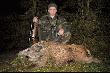 (13) Dzik- warchlak o  wadze 23kg strzelony minionej nocy.Zdj�cie podw�rkowe (aparat zosta� w domu).