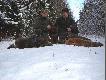 My�l� �e dobrze opracowa�em  przesmyki :)