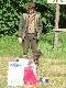 Konkursy Tropowc�w w Niepo�omicach. Max.ilo�� punkt�w i 3 lokata na 15 startuj�cych ps�w. M�j wachtel mia� wtedy 15miesi�cy...