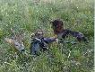 Beksa �omskie Bagno-m�j wachtel