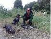 Nast�pny miot i znowu lufy by�y gor�ce...