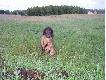 Lisa, kt�ry by� potr�cony przez samoch�d-do szkolenia jak znalaz�...