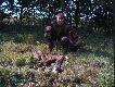 Pierwsze polowanie w moim �yciu na kuropatwy, strzeli�em trzy kury w tym dublet...