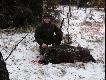 02-01-2010. Odyniaszek 67kg z dzisiejszego polowania zbiorowego metod� szwedzk�. 