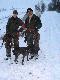 02.01.10r  Pi�kna sobotnia pogoda, wy�mienite towarzystwo i rewelacyjnie pracuj�ce psy da�y o to taki rezultat. 