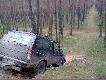 W puszcza�skich ost�pach. 