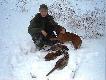 moje pierwsze w �yciu koguty 