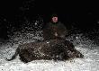 M�j brat Rafa� jak zawsze pomocny! We dw�ch l�ej by�o ci�gn�� ody�ca!