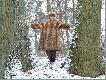 Po bia�ej stopie lisy wracaj� do lasu