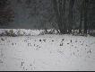 S� tam gdzie nie strzelaj� :)))