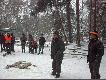 Za chwil� podsumowanie polowania i og�oszenie kr�lestwa.