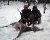 To by� kr�lewski strza�. Szczerze gratuluj� sukcesu i tytu�u kr�la polowania. Darz B�r!
