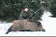 M�j pierwszy dzik, wycinek ok 84kg. Szable ok 17cm po spreparowaniu, wkr�tce do��cze do galerii