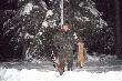 (23) Wyszed� z nory ok.150m od ambony i nie m�g� si� zdecydowa� co dalej robi�.Cierpliwie czeka�em a� odejdzie kilka metr�w od nory.Po strzale zosta� na miejscu.