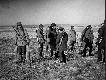 Z archiwum K� "Jele�" w Bia�ymstoku - zako�czony miot