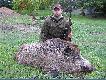 Dnia 06.10.09 wybra�em si� z Kol. Jarkiem na polowanie na kt�rym pozyska�em pierwszego w �yciu ody�ca. Waga po wypatroszeniu 120 kilo.