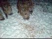 Jeste�my wyg�odnia�e i b�dziemy je��   :)))
