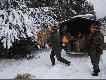 Przed zbior�wk� trzeba dokarmi� zwierza w tak� zim� :)