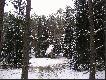 Pa�nik,kt�ry jest przypisany mojej osobie w Puszczy Noteckiej.Uzupe�ni�em go w buraki,s�om�,ziarno i s�l.Pi�kne miejsce. . . . . . . . .